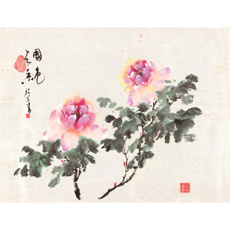 La peinture chinoise Livre Beaux-arts