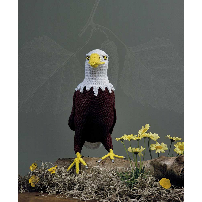 Les oiseaux au crochet Livre Crochet