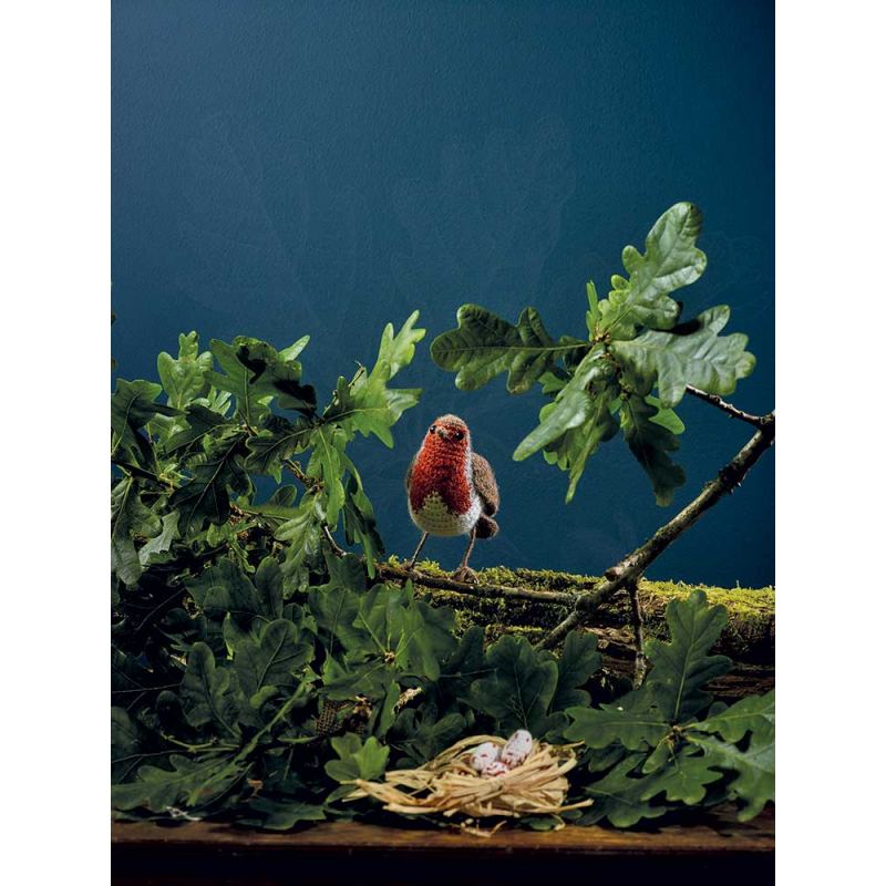 Les oiseaux au crochet Livre Crochet