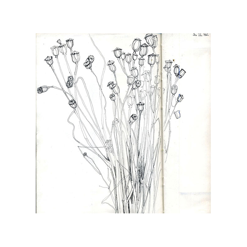 Paysages & fleurs brodés Livre Broderie