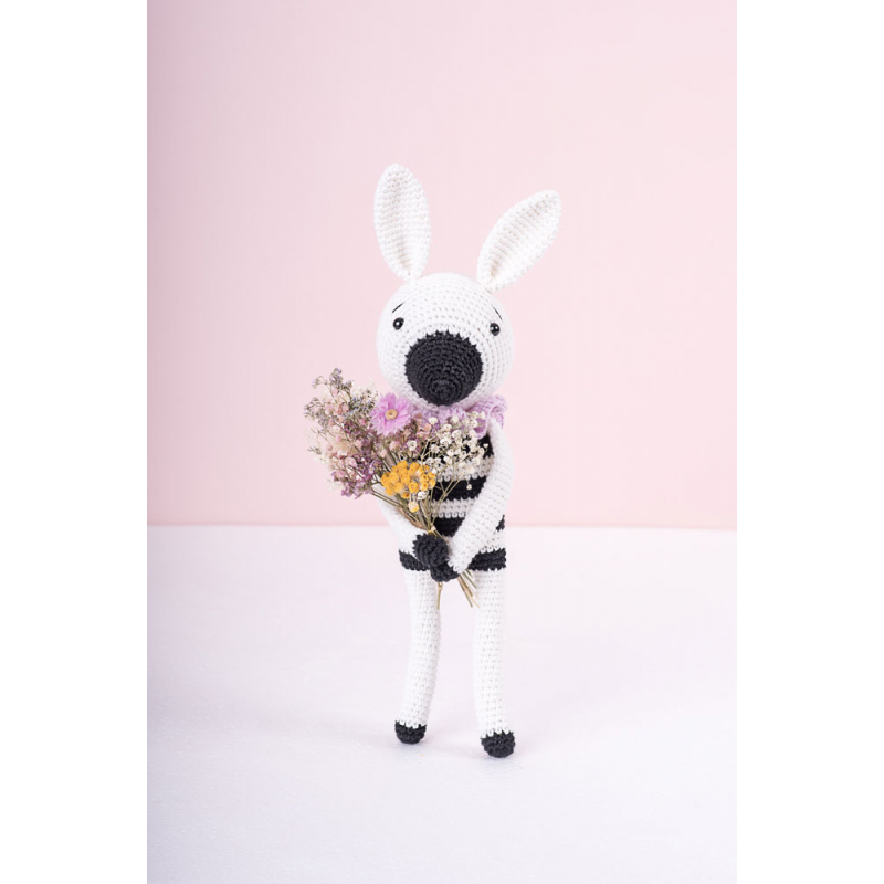 Mes doudous d'amour au crochet Livre Crochet