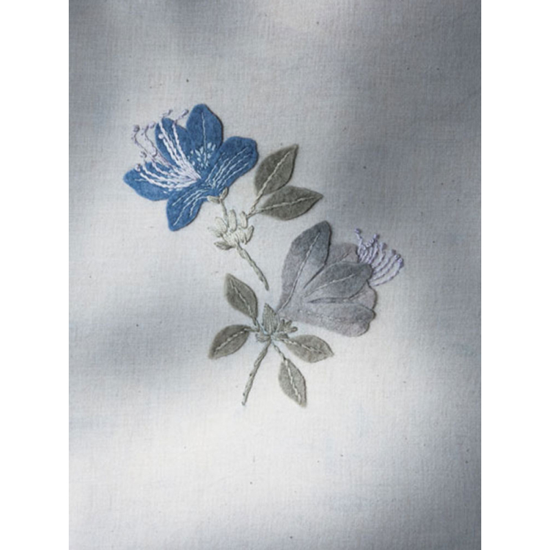 Jolies fleurs en teinture végétale Livre Broderie