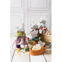 Petits animaux en feutrine & leur panoplie  - 5