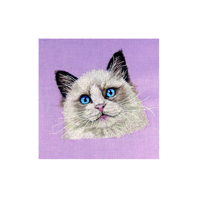 Patch Brodé Personnalisé Avec Un Chat Et Un Prénom — Rectangle En Tissu épais, Option Thermocollant Ou à Coudre