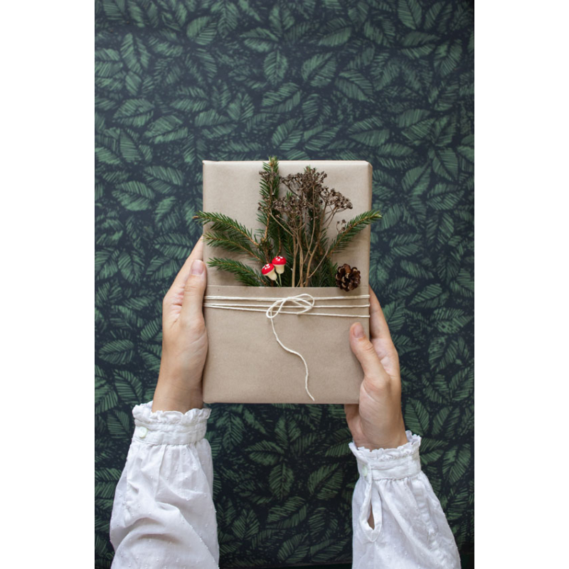52 projets éco-responsables Livre Loisirs créatifs