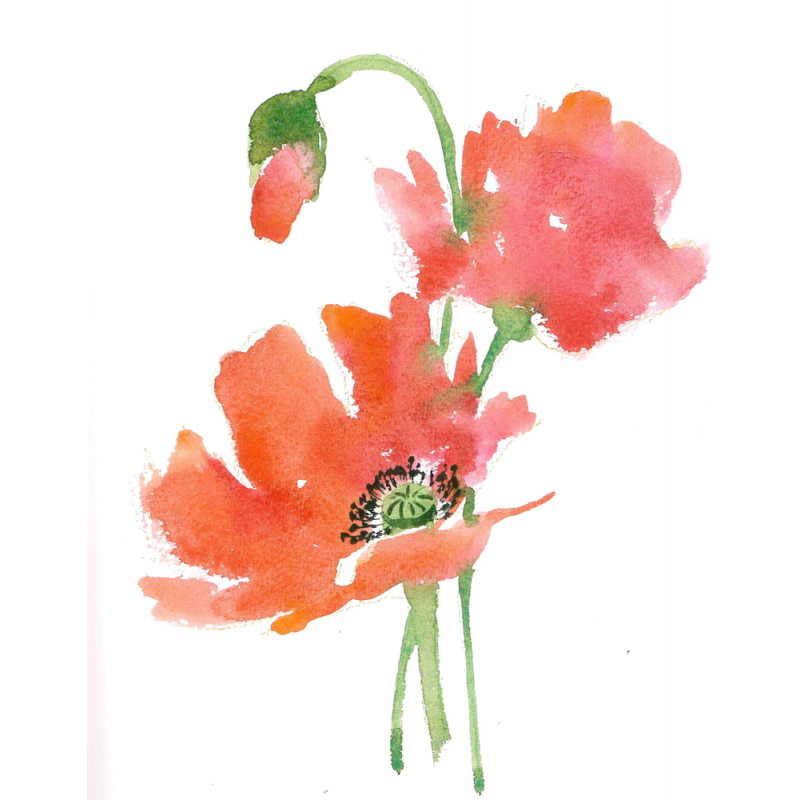 Cours d'aquarelle en ligne - Fleurs à l'aquarelle