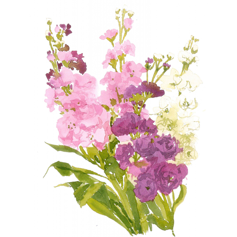 Peindre les fleurs à l'aquarelle Livre Beaux-arts