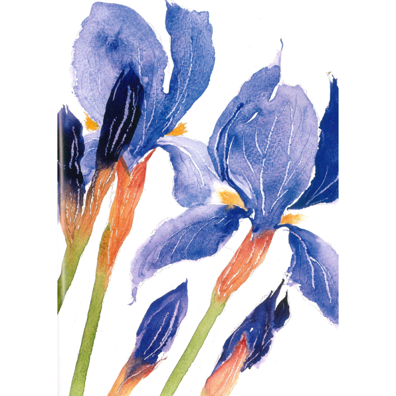 Peindre les fleurs à l'aquarelle Livre Beaux-arts