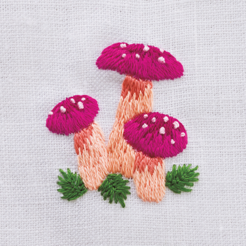 Broderies botaniques Broderie
