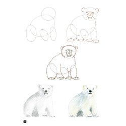 Comment dessiner 100 animaux  - 8