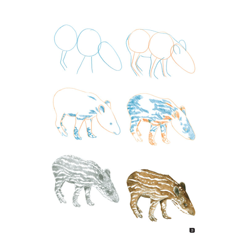 Comment dessiner 100 animaux  - 14