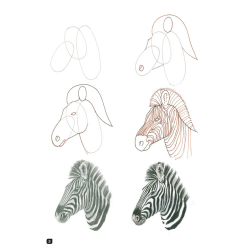Comment dessiner 100 animaux  - 15