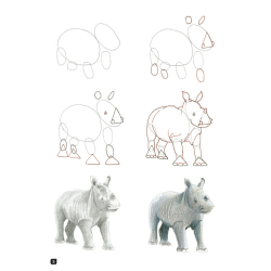 Comment dessiner 100 animaux  - 17