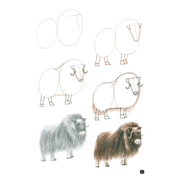 Comment dessiner 100 animaux  - 19