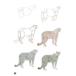 Comment dessiner 100 animaux  - 20