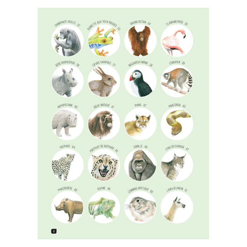 Comment dessiner 100 animaux  - 3