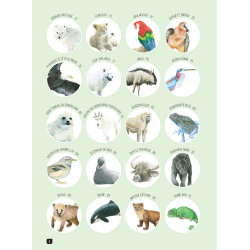 Comment dessiner 100 animaux  - 5