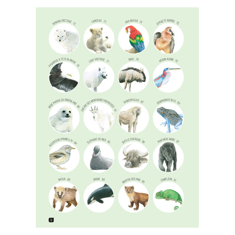 Comment dessiner 100 animaux  - 5