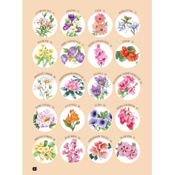 Comment dessiner 100 fleurs  - 2