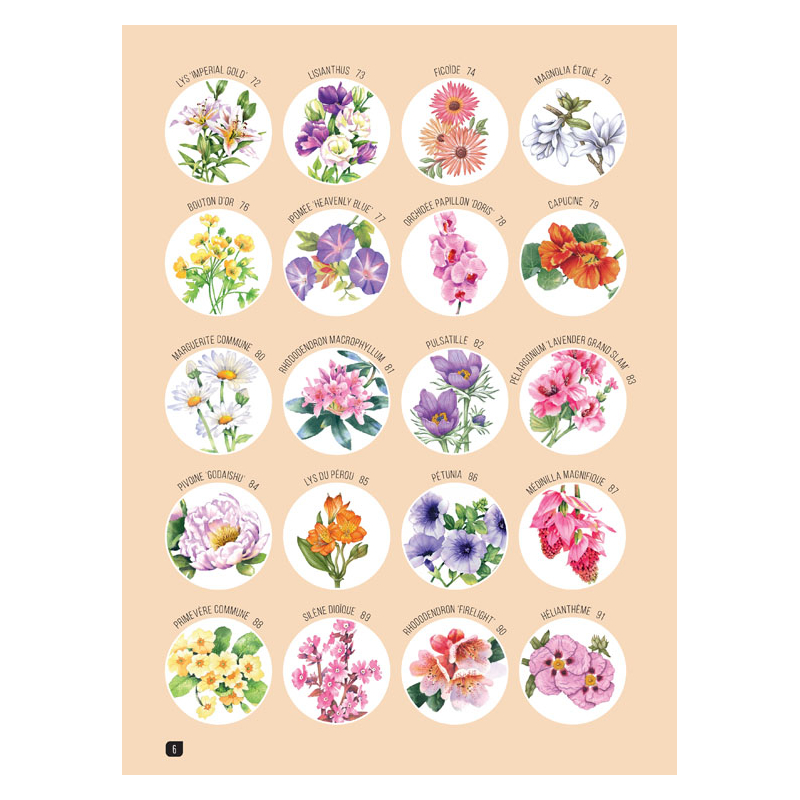 Comment dessiner 100 fleurs  - 2