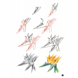 Comment dessiner 100 fleurs  - 13