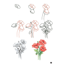 Comment dessiner 100 fleurs  - 21