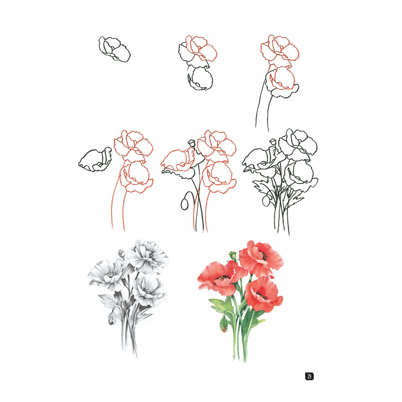 Comment dessiner 100 fleurs - Beaux-arts