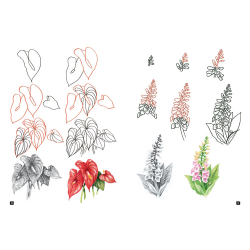 Comment dessiner 100 fleurs  - 24