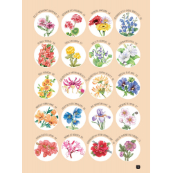 Comment dessiner 100 fleurs  - 4