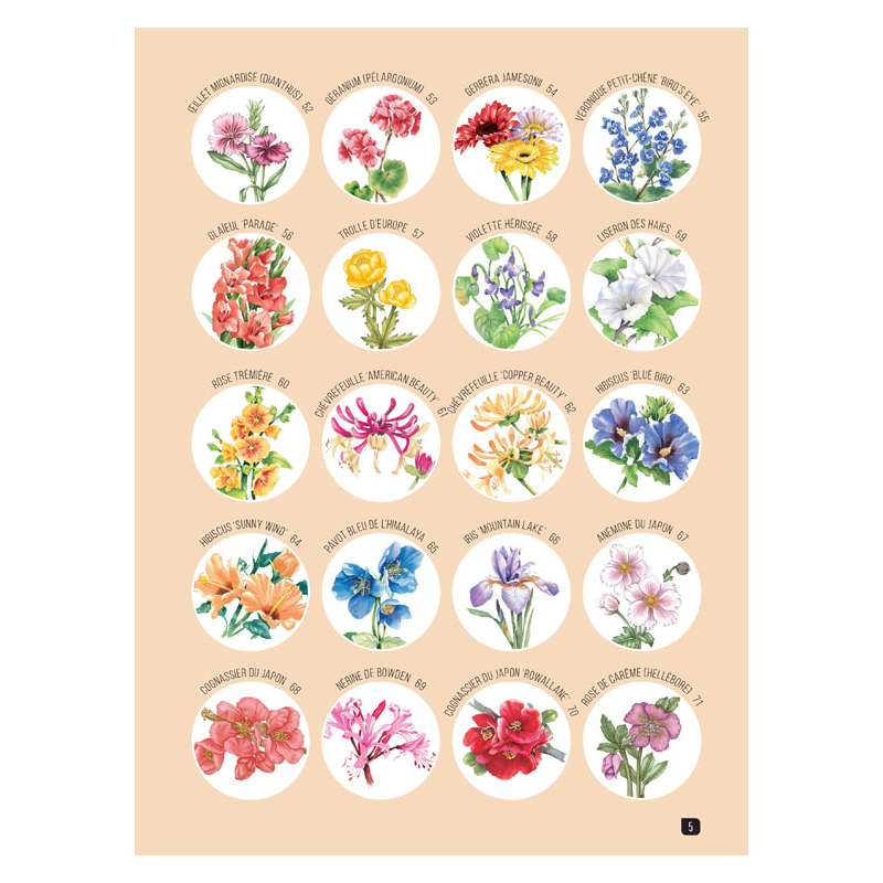 Comment dessiner 100 fleurs  - 4