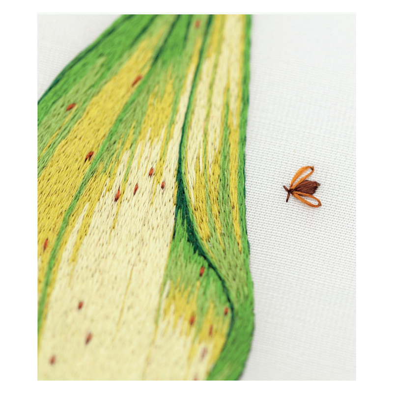 Insectes & plantes en peinture à l'aiguille  - 9