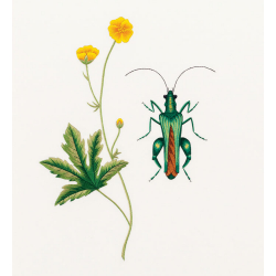 Insectes & plantes en peinture à l'aiguille  - 12