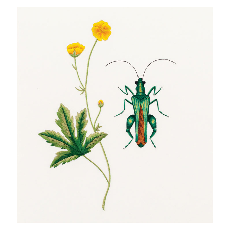 Insectes & plantes en peinture à l'aiguille  - 12