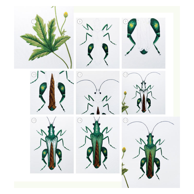 Insectes & plantes en peinture à l'aiguille  - 13
