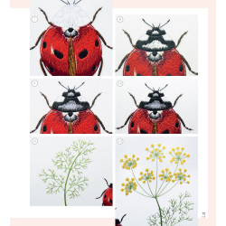 Insectes & plantes en peinture à l'aiguille  - 15