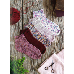 La bible des chaussettes au tricot  - 5