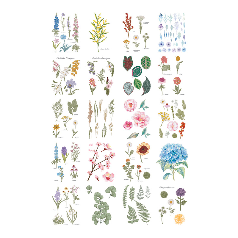 Fleurs et herbiers - 20 affiches à peindre  - 4