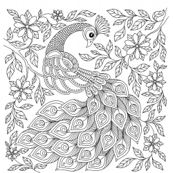Merveilleuse nature Livre Beaux-arts Merveilleuse nature Livre Beaux-arts