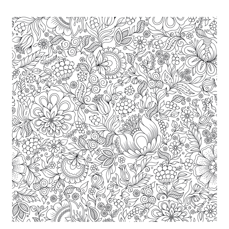 Merveilleuse nature Livre Beaux-arts