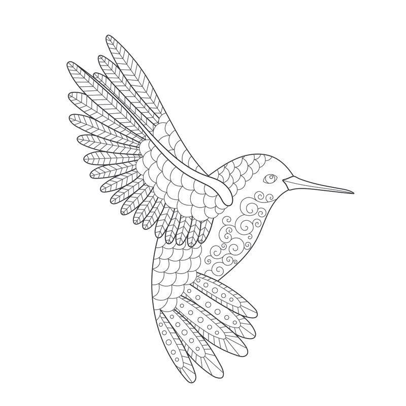 Merveilleuse nature Livre Beaux-arts