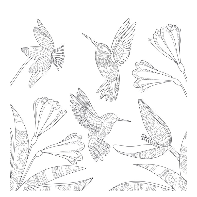 Merveilleuse nature Livre Beaux-arts