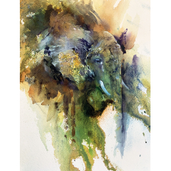 Animaux à l'aquarelle  - 2