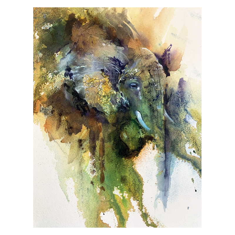 Animaux à l'aquarelle  - 2