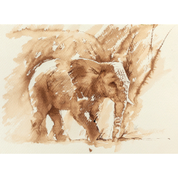 Animaux à l'aquarelle  - 4