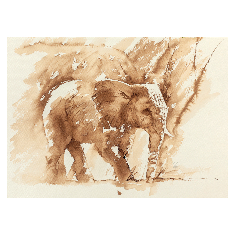 Animaux à l'aquarelle  - 4