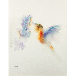 Animaux à l'aquarelle  - 11