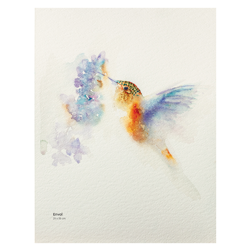 Animaux à l'aquarelle  - 11