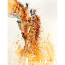 Animaux à l'aquarelle  - 14