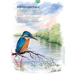 Le guide ultime de l'aquarelle  - 22