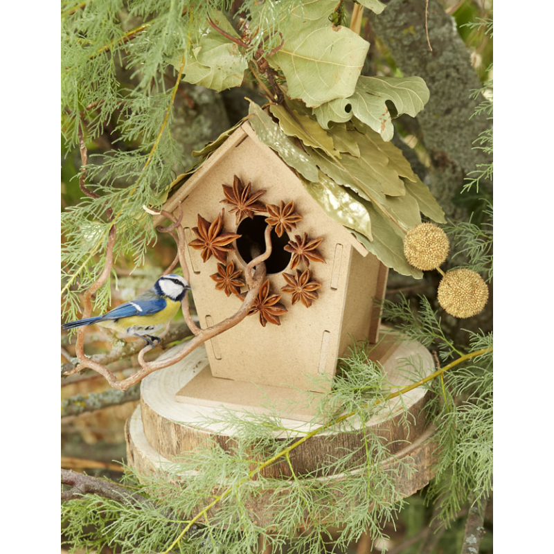 Le nichoir à oiseaux en cadeau Accueil